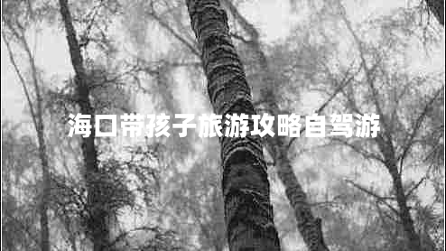 ?？趲Ш⒆勇糜喂ヂ宰择{游