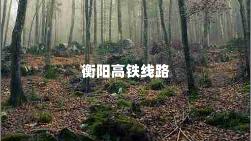 衡陽高鐵線路