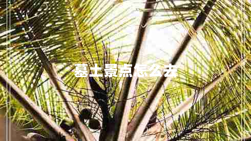 墓土景點怎么去