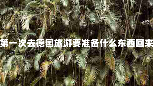 第一次去德國旅游要準(zhǔn)備什么東西回來