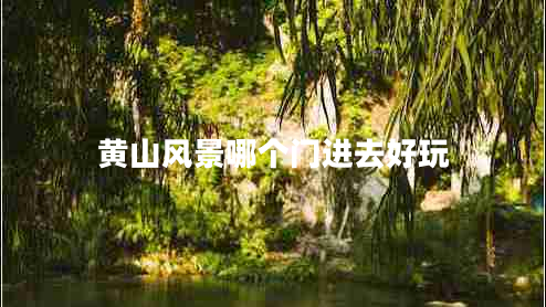 黃山風(fēng)景哪個門進去好玩
