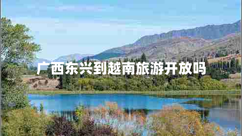 廣西東興到越南旅游開放嗎