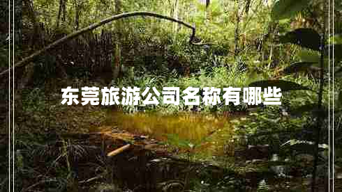 東莞旅游公司名稱有哪些