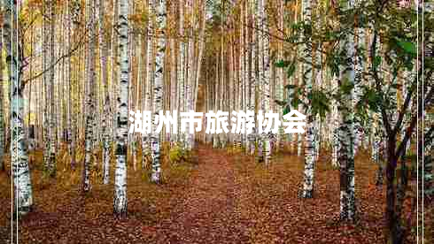 湖州市旅游協(xié)會