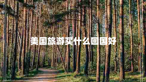 美國旅游買什么回國好