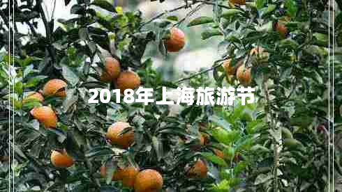 2018年上海旅游節(jié)