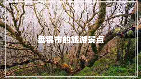 盤錦市的旅游景點(diǎn)