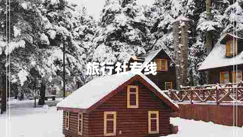 旅行社專線