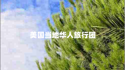 美國當(dāng)?shù)厝A人旅行團(tuán)