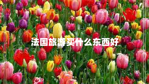 法國(guó)旅游買什么東西好