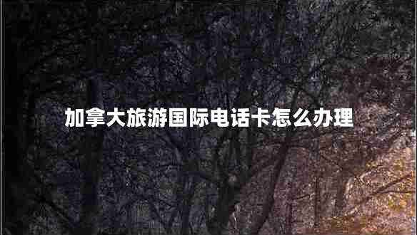 加拿大旅游國際電話卡怎么辦理