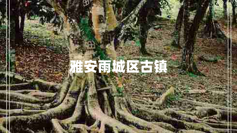 雅安雨城區(qū)古鎮(zhèn)