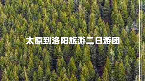 太原到洛陽旅游二日游團