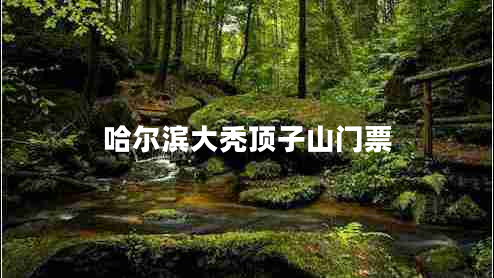 哈爾濱大禿頂子山門票