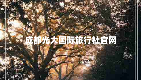 成都光大國(guó)際旅行社官網(wǎng)