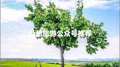 臺(tái)州旅游公眾號(hào)推薦