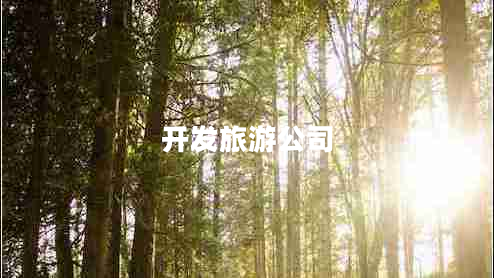 開發(fā)旅游公司