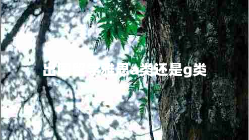 出國(guó)留學(xué)雅思a類(lèi)還是g類(lèi)