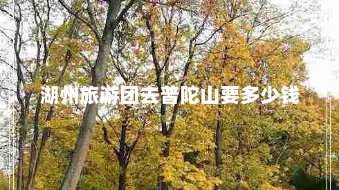 湖州旅游團(tuán)去普陀山要多少錢