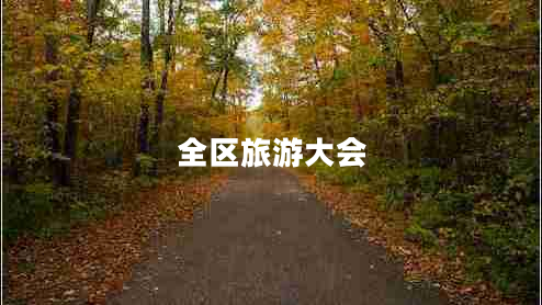 全區(qū)旅游大會