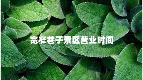 寬窄巷子景區(qū)營(yíng)業(yè)時(shí)間