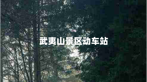 武夷山景區(qū)動車站
