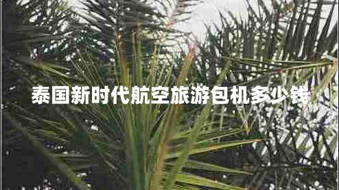 泰國新時代航空旅游包機多少錢