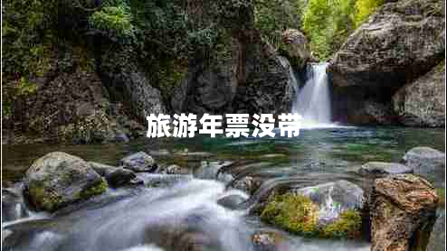 旅游年票沒帶