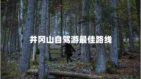 井岡山自駕游最佳路線