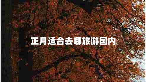 正月適合去哪旅游國(guó)內(nèi)