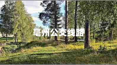 亳州公交線路