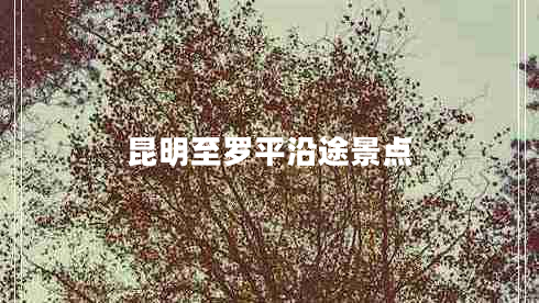 昆明至羅平沿途景點