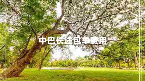 中巴長途包車費用