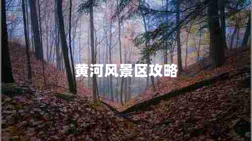 黃河風(fēng)景區(qū)攻略