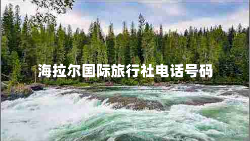 海拉爾國(guó)際旅行社電話號(hào)碼