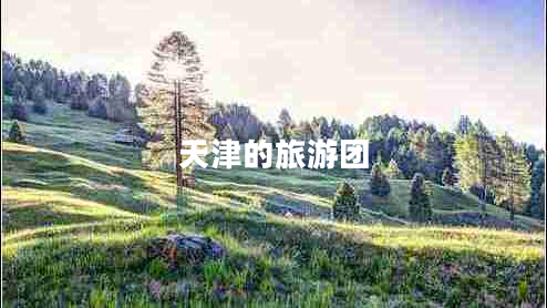 天津的旅游團(tuán)