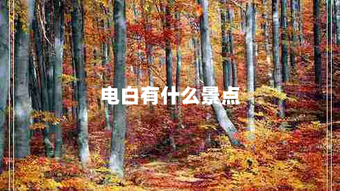 電白有什么景點