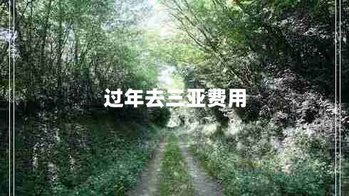 過年去三亞費用