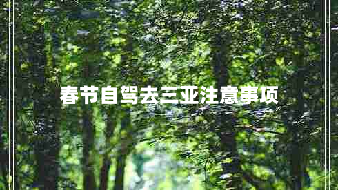 春節(jié)自駕去三亞注意事項