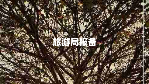 旅游局報(bào)備