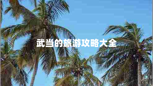 武當?shù)穆糜喂ヂ源笕? title=