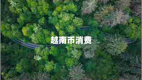 越南幣消費(fèi)