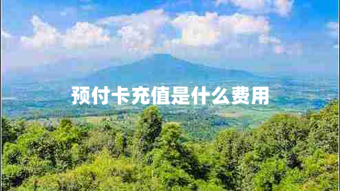 預(yù)付卡充值是什么費(fèi)用