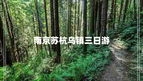 南京蘇杭烏鎮(zhèn)三日游