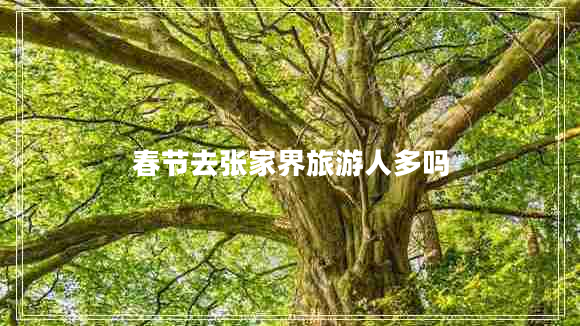 春節(jié)去張家界旅游人多嗎