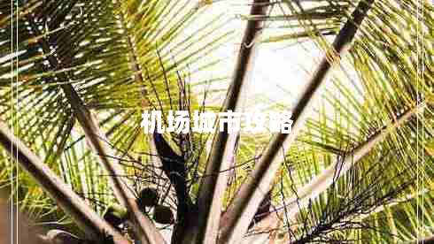 機(jī)場(chǎng)城市攻略