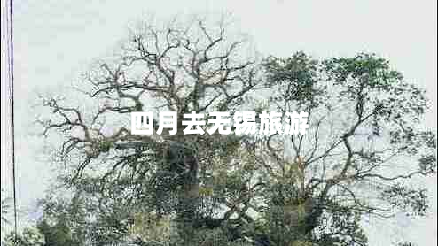 四月去無錫旅游