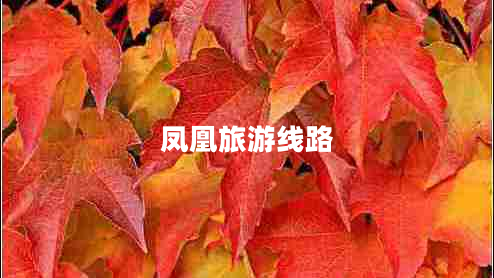 鳳凰旅游線路