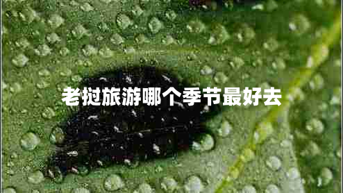 老撾旅游哪個季節(jié)最好去