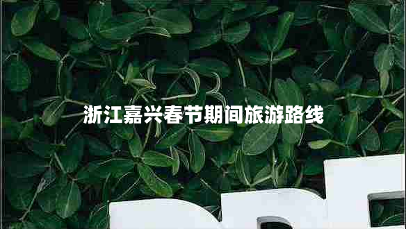 浙江嘉興春節(jié)期間旅游路線